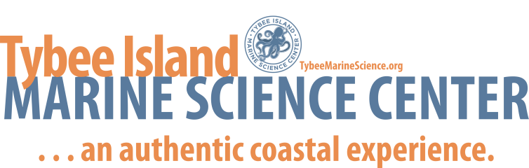 Tybee Island Marine Science Center